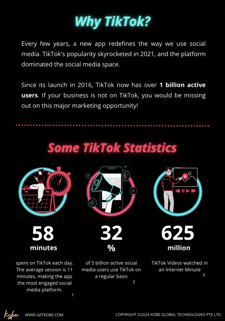 TikTok Playbook 2024